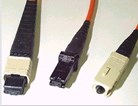 Optical Fiber Ribbons in the Premises Network Optical Fiber Ribbons in the Premises Network
