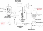 Patent Bolsters Chances of Chemicals From Biodesulfurization Patent Bolsters Chances of Chemicals From Biodesulfurization