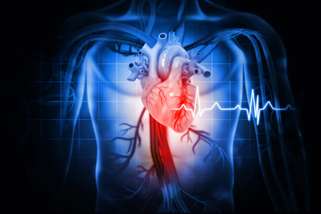 Wearable Cardiac Monitoring Taking The Pulse Of A Thriving Sector