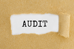 audit