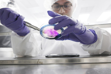 Scientist clean room cell culture-GettyImages-542712102