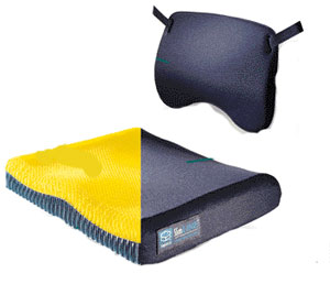 Cushion and Lumbar Support