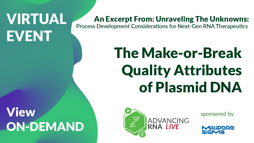 The Make-or-Break Quality Attributes of Plasmid DNA