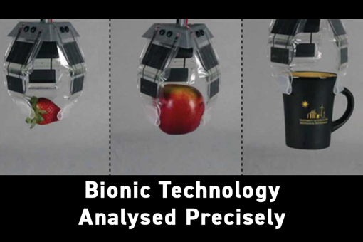 Bionic Technology Analyzed Precisely Vision Research - Bionic Technology
