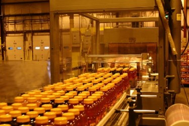 Automation For Food Packaging-Line Changeover