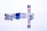 gI_125705_CryoELITE 0.5mL Vials.JPG