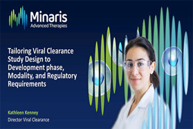 Tailoring Viral Clearance