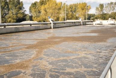 activated sludge
