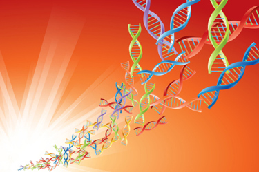 DNA-GettyImages-477995961 DNA-GettyImages-477995961
