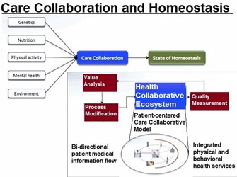 Health Collaboration Ecosystem