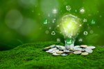 Green Business-GettyImages-2179499504