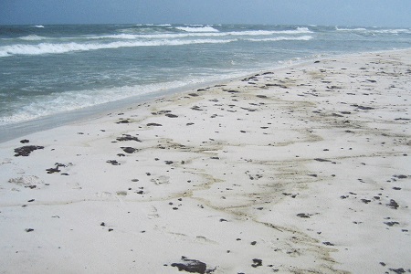 Deepwater Horizon Oil Buried In Gulf Coast Beaches Could Take More Than 30 Years To Biodegrade