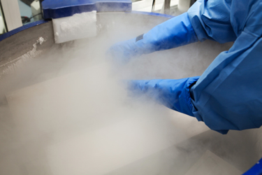 GettyImages-171144953-cryopreservation-freeze