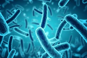 Development And Scale Up Of Insoluble, Microbially Expressed Biologics GettyImages-628978952-microbe-bacteria-microbial