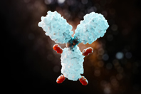 Manufacturing ADCs: Extractables In Single-Use Systems anticancer drug, ADC-GettyImages-2148345960