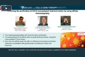 Advancing The Purification Of VSV-G Pseudotyped Lentiviral Vector Advancing The Purification Of VSV-G Pseudotyped Lentiviral Vector