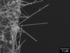 silicon-nanowire