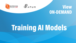 24_09_BPOL_1280x720_Seg02