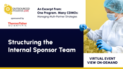 Structuring the Internal Sponsor Team