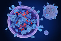 Extracellular Vesicle Isolation From Conditioned Media GettyImages-1691974990-exosome-3d-render-cell