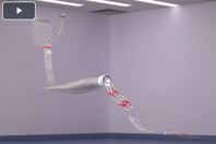 Fill Finish Solution