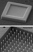 13CNST003_field_emitter_LR