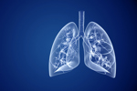 Developing Pulmonary Dosage Forms For Complex Molecule Delivery Human lungs healthcare-GettyImages-1388994501
