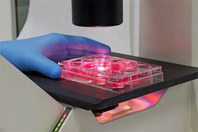Streamline Analytical Tech Transfer Through ATP Diligence And Standardization GettyImages-1590452153-assay-well-plate-microcscope-image