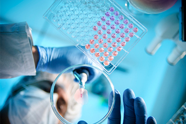GettyImages-158649166 assay GettyImages-158649166 assay