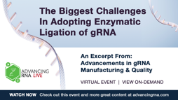 The Biggest Challenges In Adopting Enzymatic Ligation of gRNA