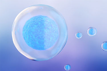 GettyImages-1332026009 cells GettyImages-1332026009 cells