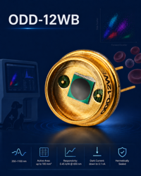 AN-09 Cover image AN-09 Cover image