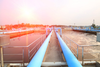 30_VERT_0915_WRc_300x450