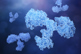 GettyImages-2209705065-antibody-structure-3d GettyImages-2209705065-antibody-structure-3d