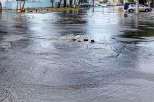 sol_wwno_feature-image_450x300