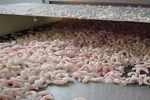 Growth In Processed-Seafood Market Is Creating Opportunities Worldwide Processed-Seafood Market