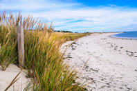 How EPA Researchers Are Using Social Science To Study Water Quality Beach-GettyImages-522308458