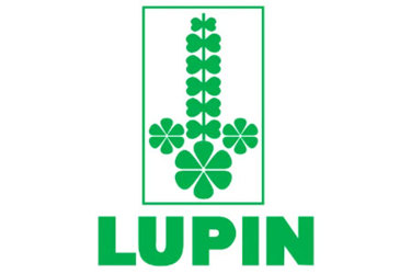 Lupin