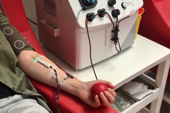 Person Donating Blood-GettyImages-2246332353