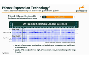 Primrose - Extracellular Secretion 3