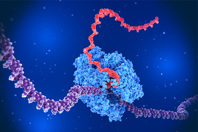 GettyImages-1409734937-3d-rendering-rna-dna