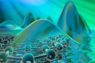 squeeze-light squeeze-light