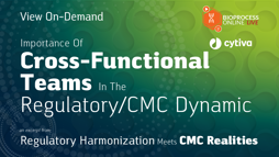 Importance Of Cross-Functional Teams In The Regulatory/CMC Dynamic
