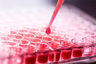 Flow Cytometric Analysis: Differentiation Potential Of Human Stem Cells GettyImages-1931925757-assay-well-plate-pipette-red-liquid