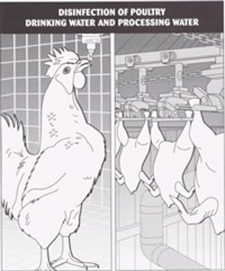 Aqua-clean® - Poultry Pharm