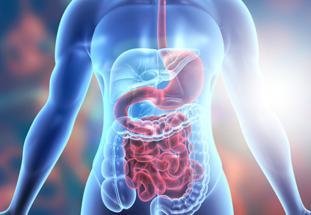 TNF-a Is Critical To The Pathogenesis Of Inflammatory Bowel Diseases - Vimarsana News
