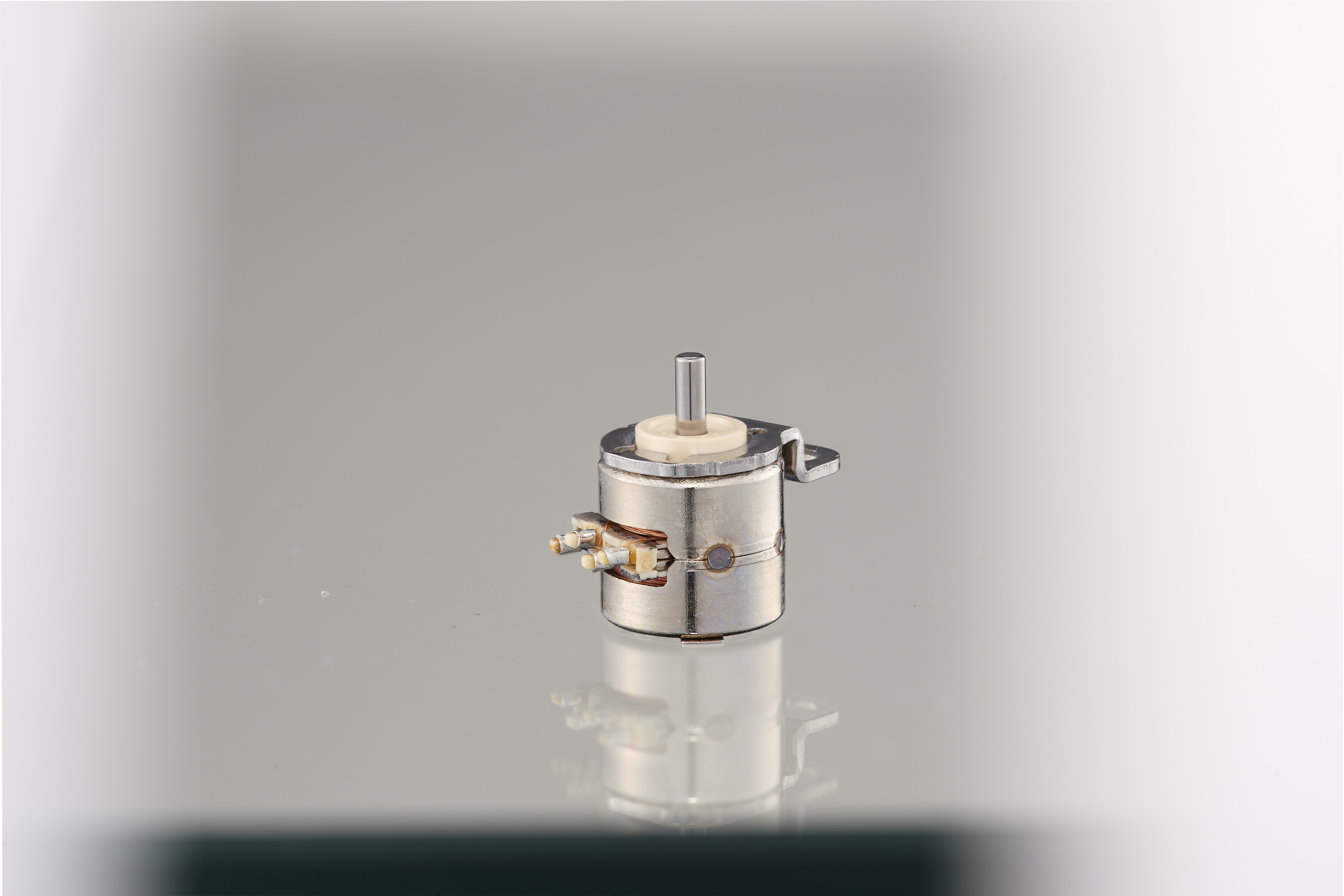 Micro Stepping Motor