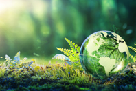 Environment Conservation GettyImages-1309463809