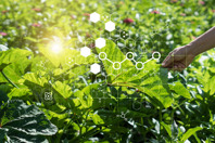 iStock-1334591686-green-chemistry-sustainable-environment