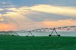 irrigation_Getty-960766428